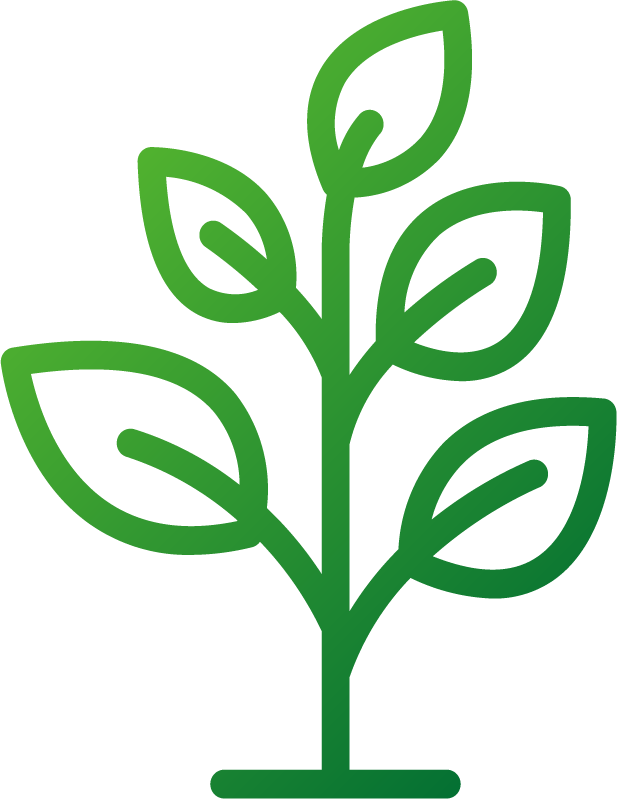 Perennials Icon