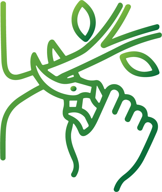 Tree pruning and trimming line icon showing hand holding clippers trimming a branch