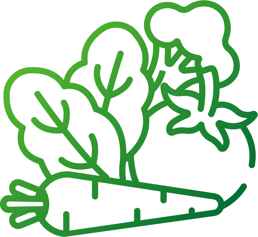 vegetable plants icon