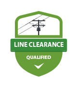Line Clearance Qualified