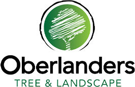 Oberlanders Tree and Landscape