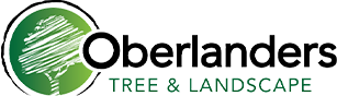 Oberlanders Tree and Landscape