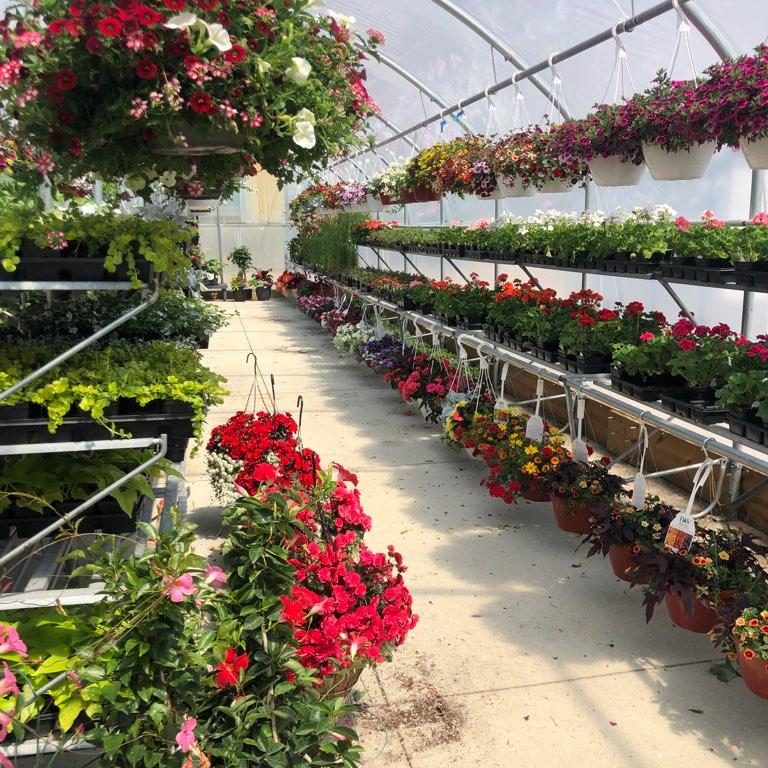 Oberlanders Garden Center Flowers and Plants