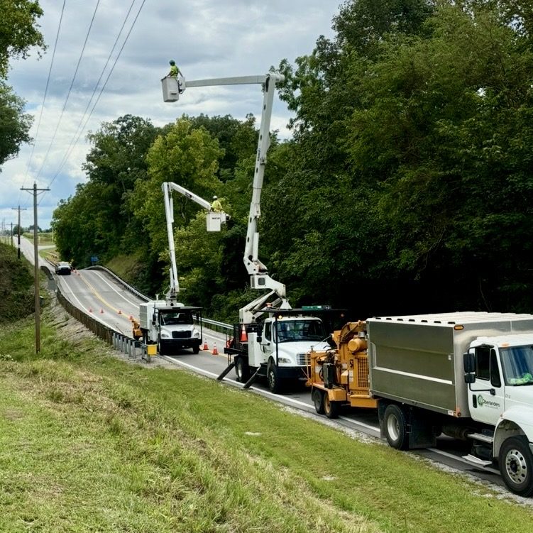 Trucks parked on the road clearing branches from utility lines